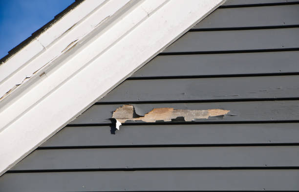 Best Demolition Debris Removal  in Kendall West, FL
