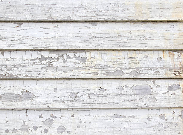 Best Hoarding Cleanup  in Kendall West, FL